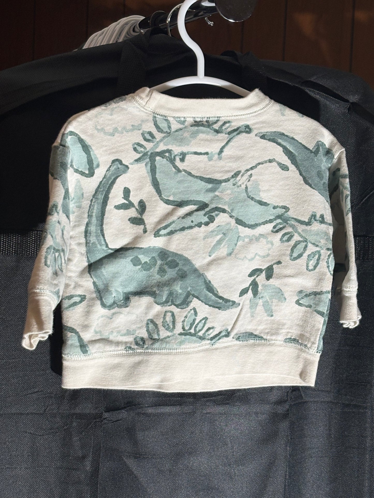 Size 6 month, Carters brand, off white & green dinosaur sweatshirt