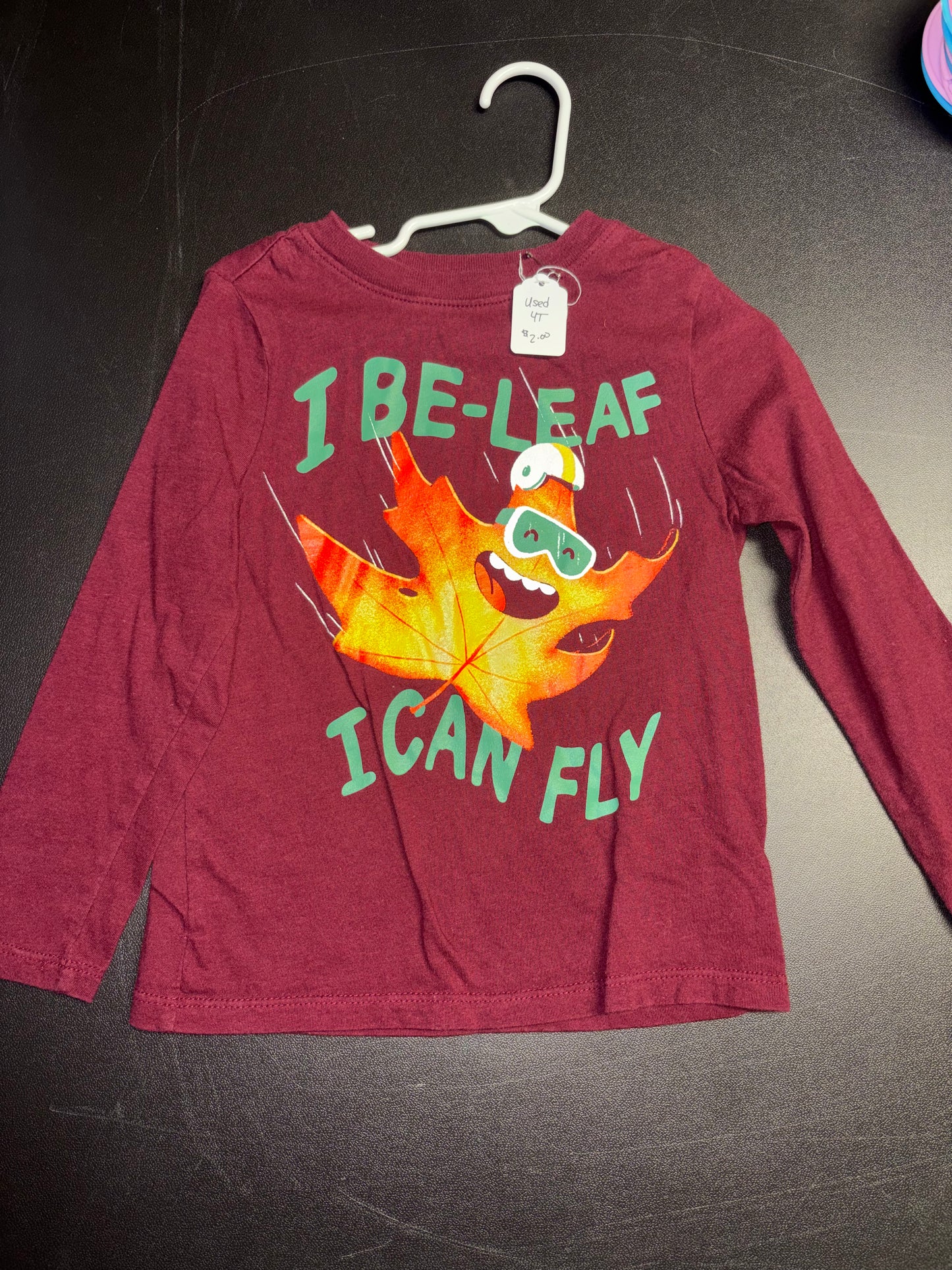 Size 4T, Old Navy Brand, I Be-leaf I Can Fly
