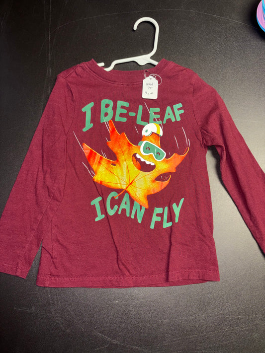 Size 4T, Old Navy Brand, I Be-leaf I Can Fly