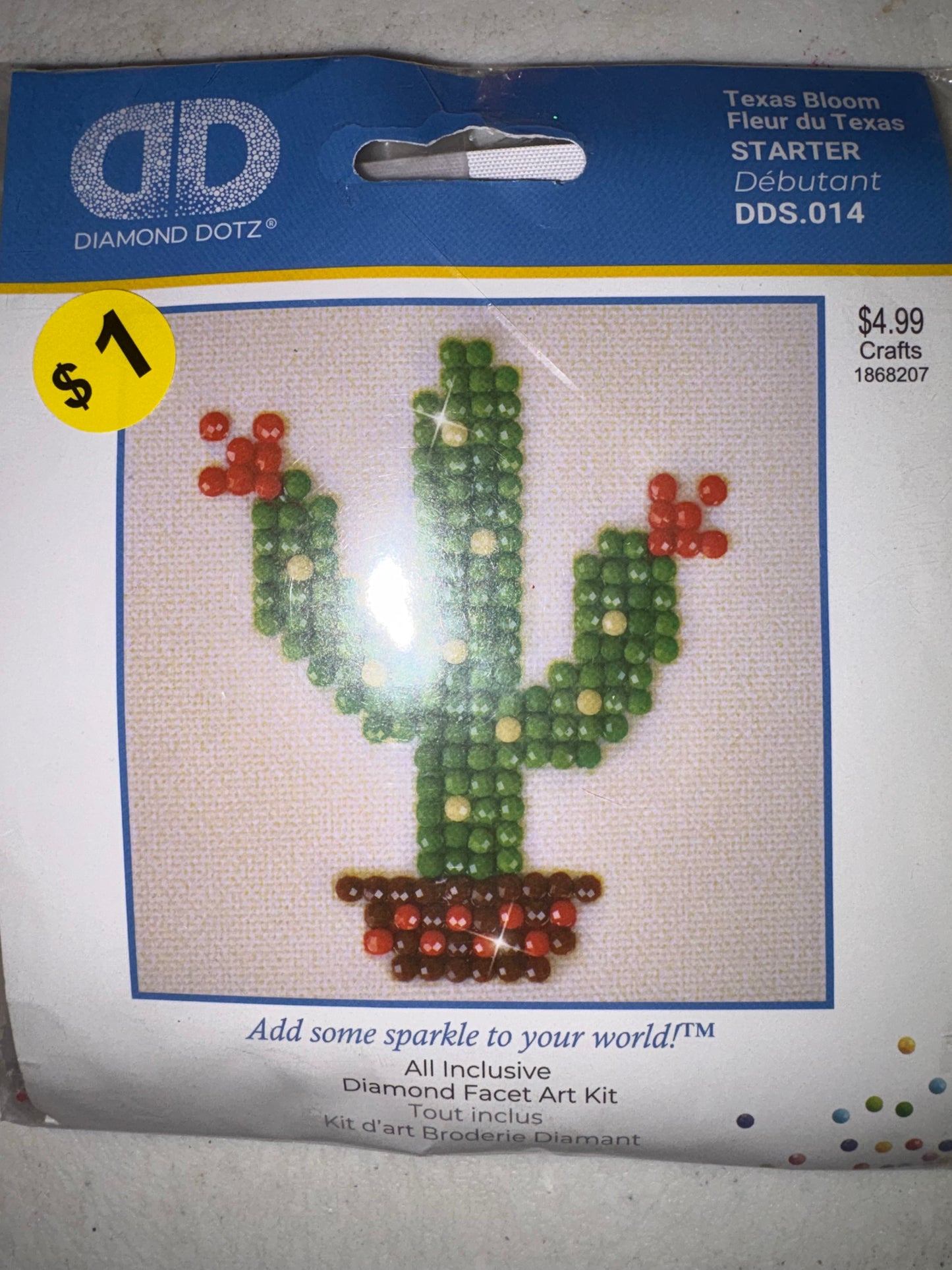 Diamond Art cactus